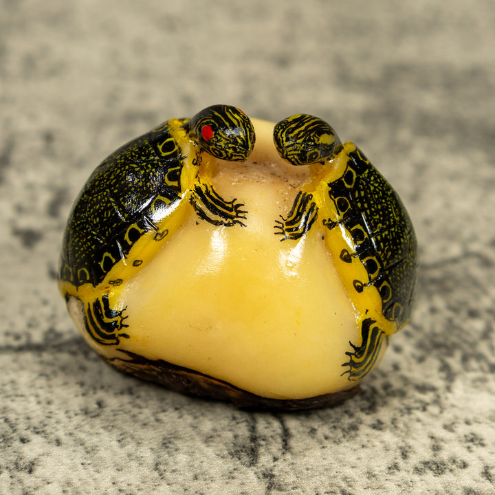 Double (2) Tortoise Turtle Tagua Carving