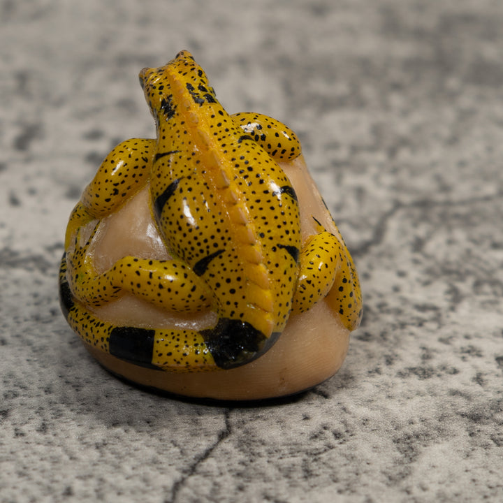 Magnificent Iguana Lizard Tagua Carving