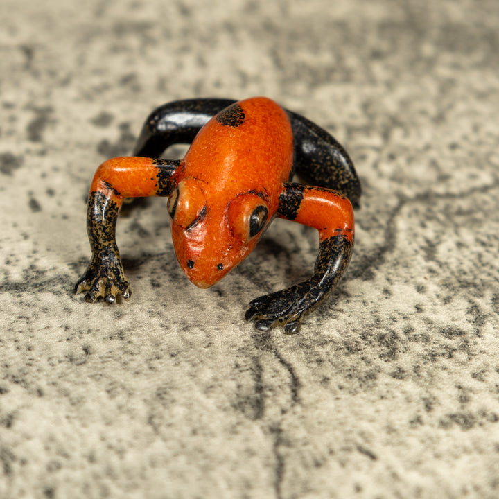 Free Standing Black And Orange Frog Tagua Carving