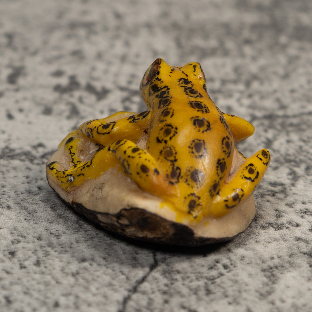 Vintage Yellow And Black Frog Tagua Carving
