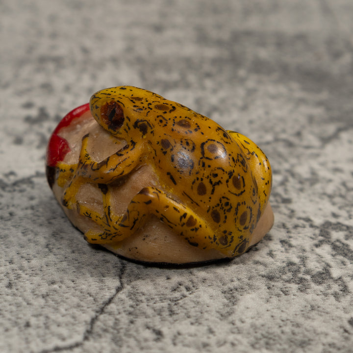 Yellow Black And Red Frog With Foliage Tagua Carving