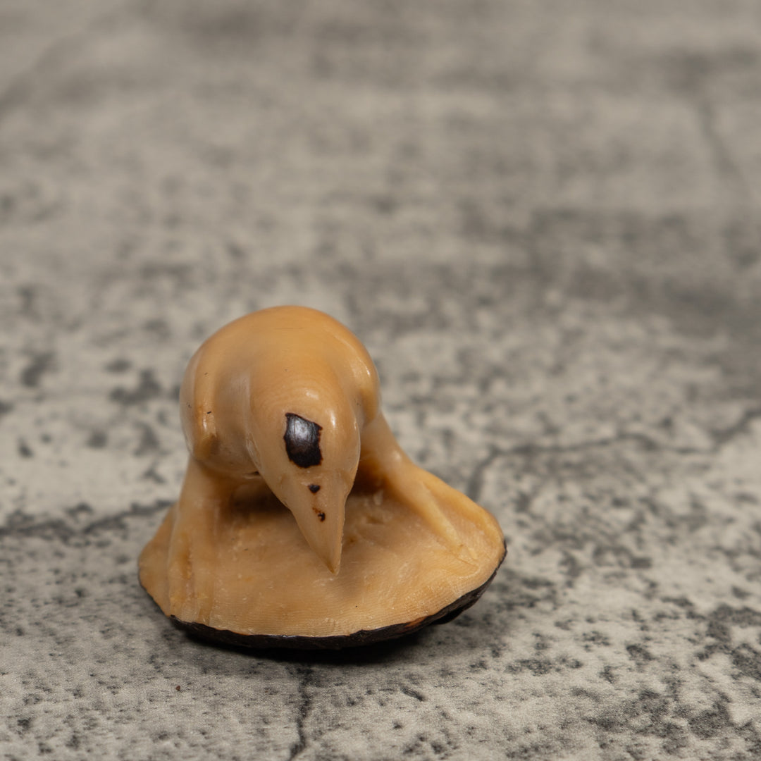 Vintage White Parrot Bird Tagua Carving