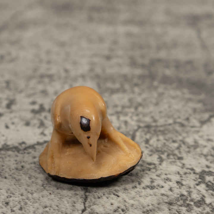 Vintage White Parrot Bird Tagua Carving
