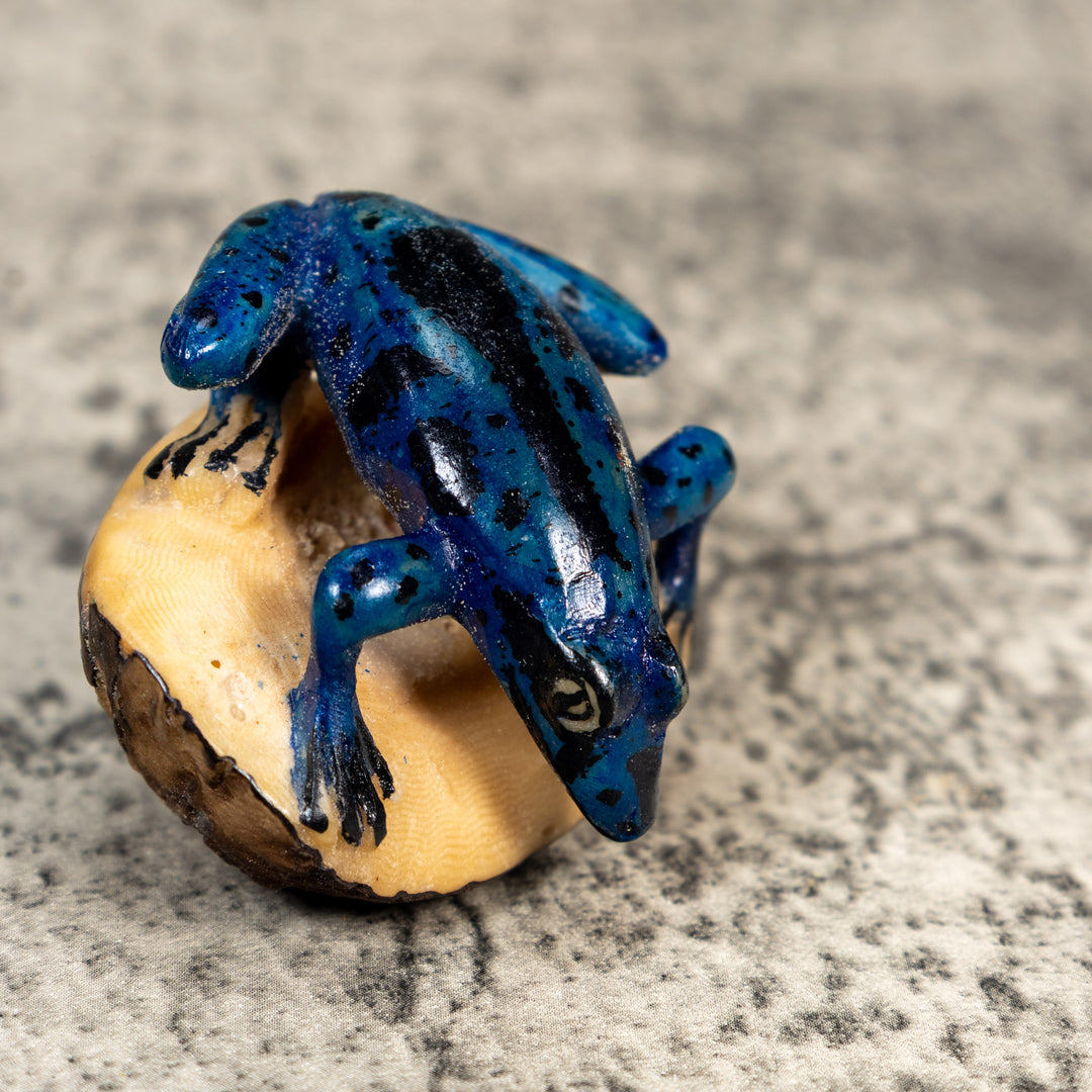 Blue And Black Poison Dart Frog Tagua Carving