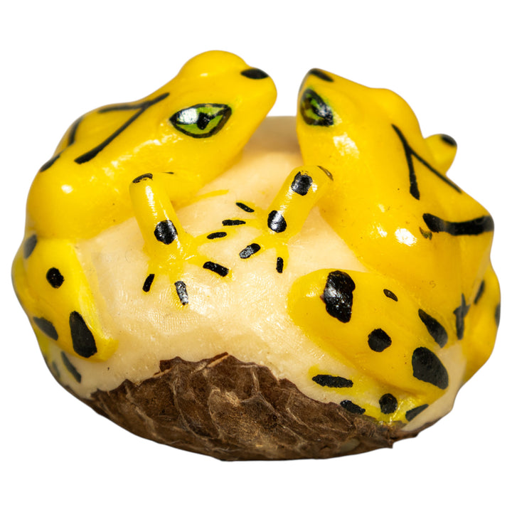 Double (2) Golden Frog Tagua Carving