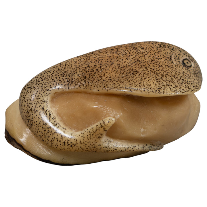 Vintage Stingray Tagua Carving