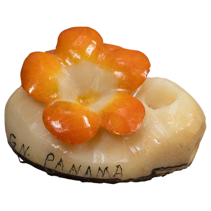 Double Golden Flower Petals Tagua Carving