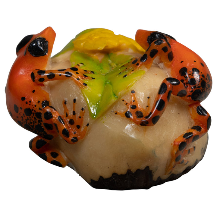 Orange And Black Double Poison Dart Frog Tagua Carving