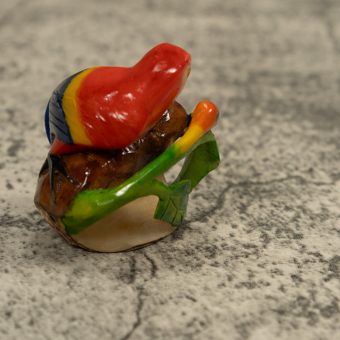 Macaw Parrot Bird Tagua Carving