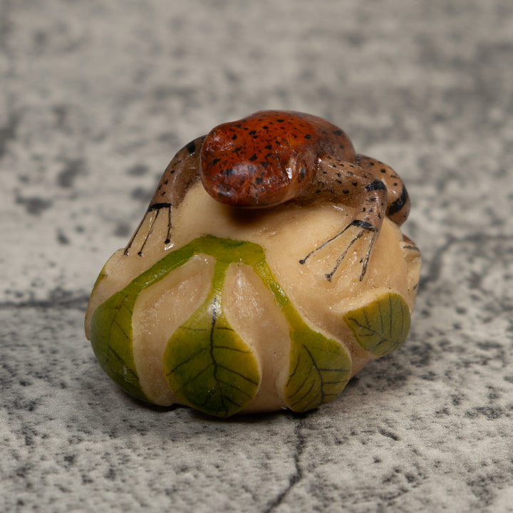 Brown And Black Poison Dart Frog Tagua Carving