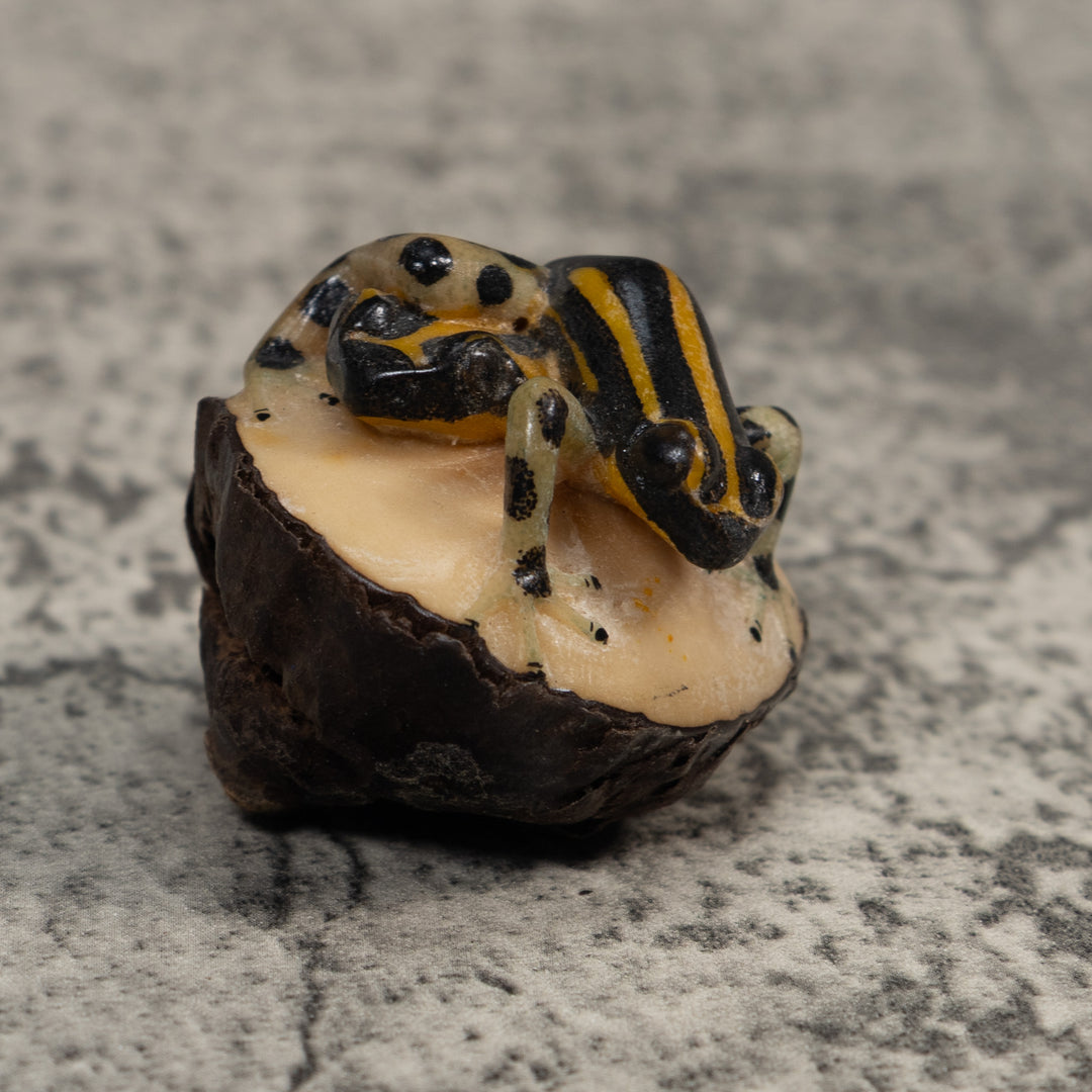 Gold And Black Poison Dart Frog Tagua Carving