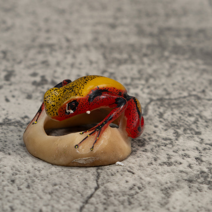 Red And Yellow Poison Dart Frog Tagua Carving