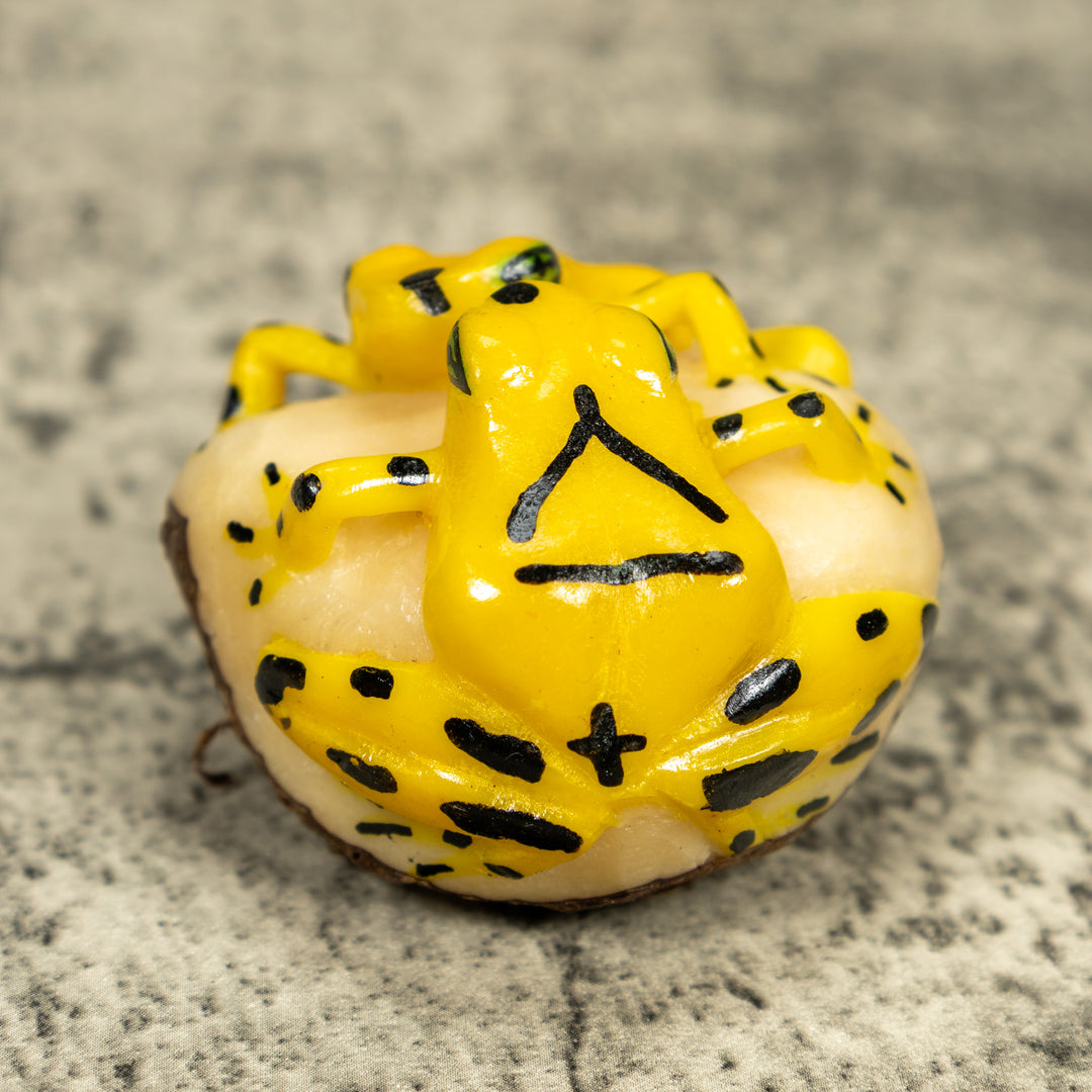 Double (2) Golden Frog Tagua Carving