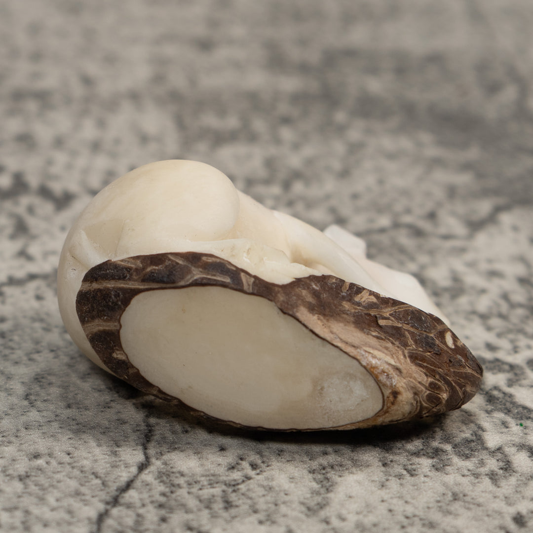 White Natural Neque Agouti Tagua Carving