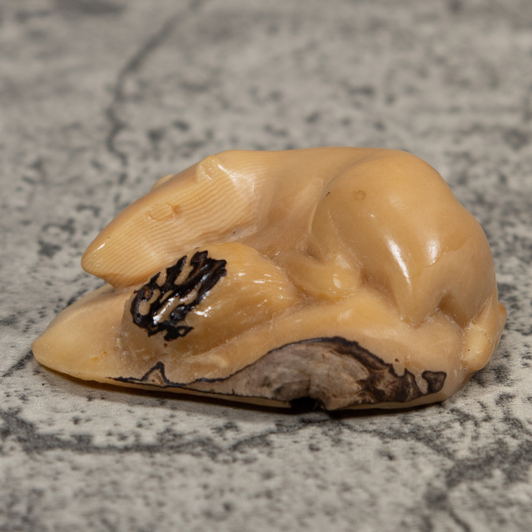 Vintage White Neque Agouti Tagua Carving