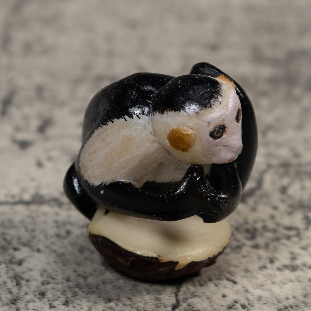 White-Face Monkey Tagua Carving