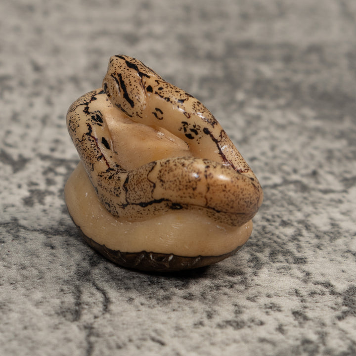 Black And White Snake Boa Tagua Carving