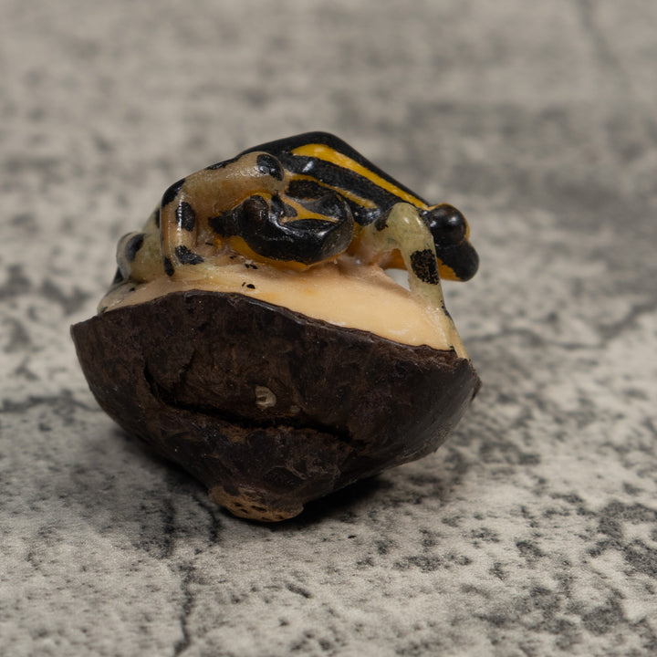 Gold And Black Poison Dart Frog Tagua Carving