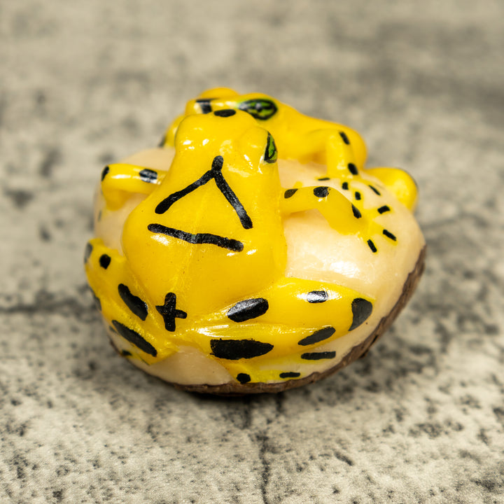 Double (2) Golden Frog Tagua Carving