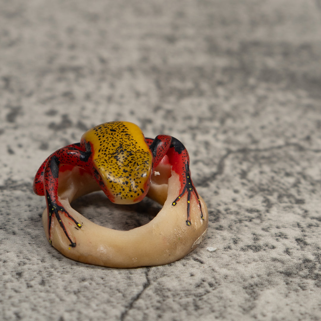 Red And Yellow Poison Dart Frog Tagua Carving