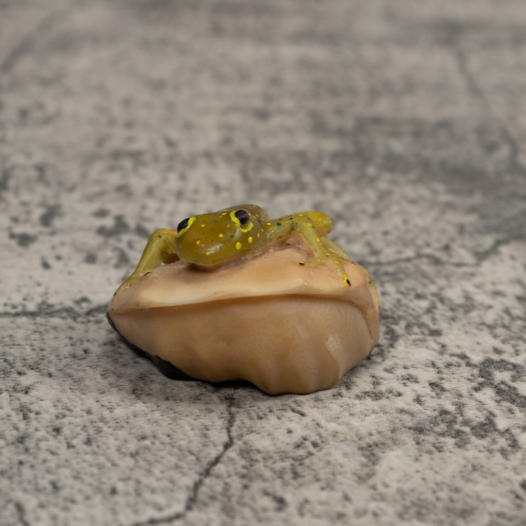 Vintage Yellow And Green Frog Tagua Carving