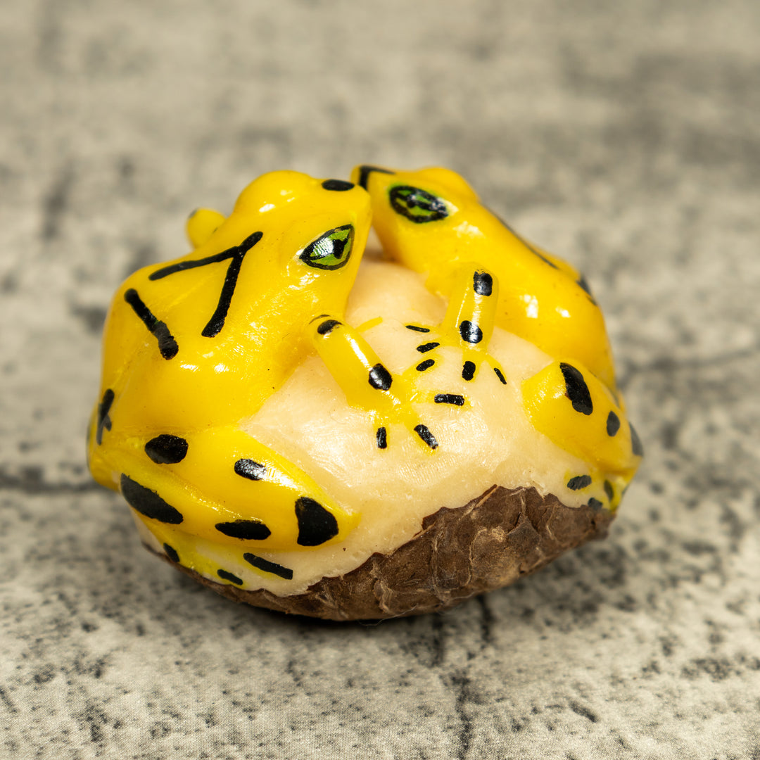 Double (2) Golden Frog Tagua Carving