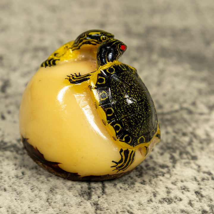Double (2) Tortoise Turtle Tagua Carving