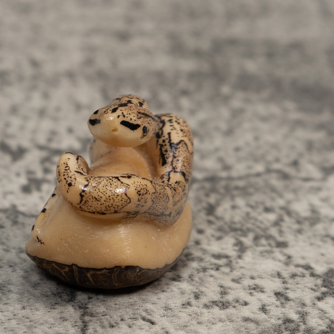 Black And White Snake Boa Tagua Carving