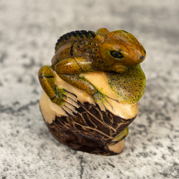 Brown And Black Iguana Lizard Tagua Carving