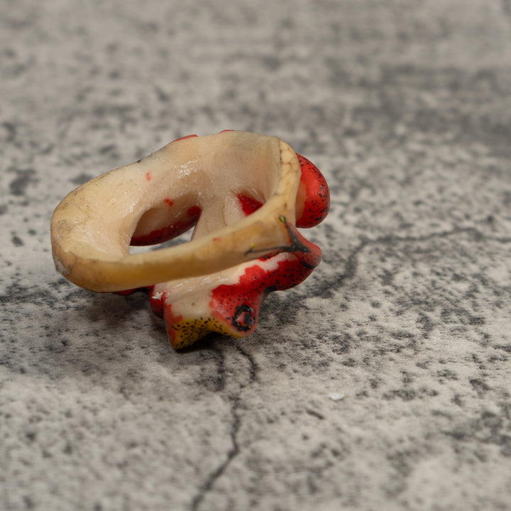 Red And Yellow Poison Dart Frog Tagua Carving