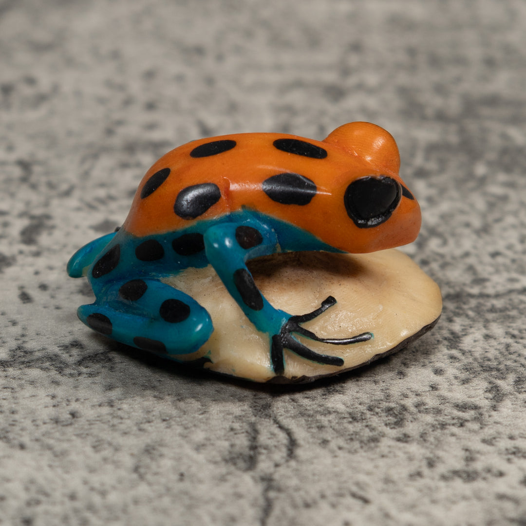 Blue And Gold Poison Dart Frog Tagua Carving
