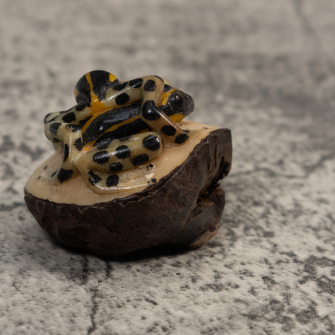 Gold And Black Poison Dart Frog Tagua Carving