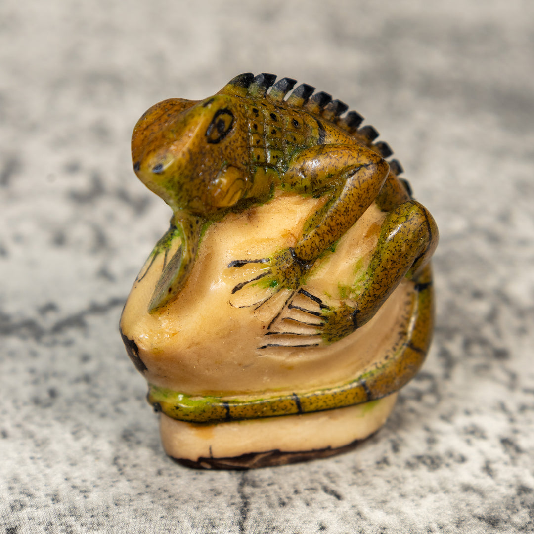Brown And Black Iguana Lizard Tagua Carving
