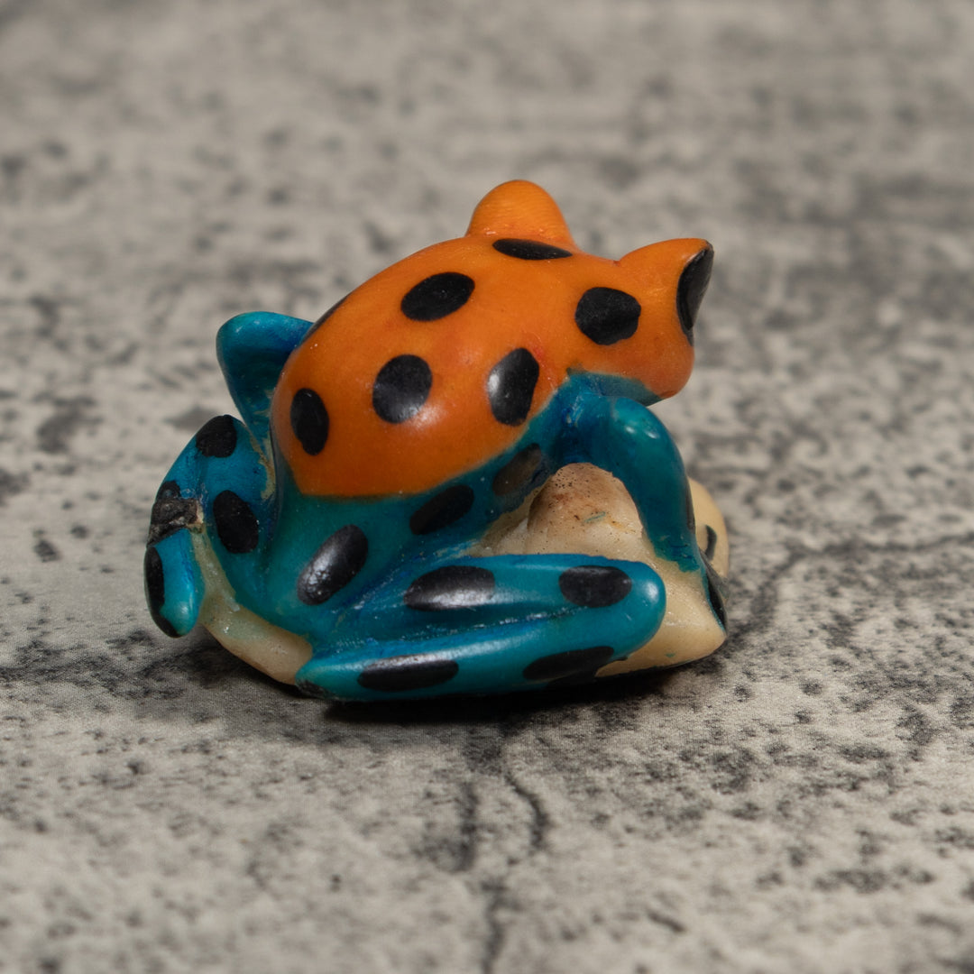 Blue And Gold Poison Dart Frog Tagua Carving