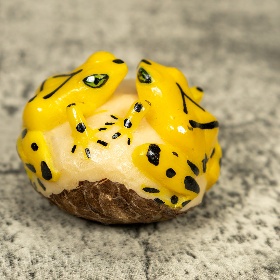 Double (2) Golden Frog Tagua Carving