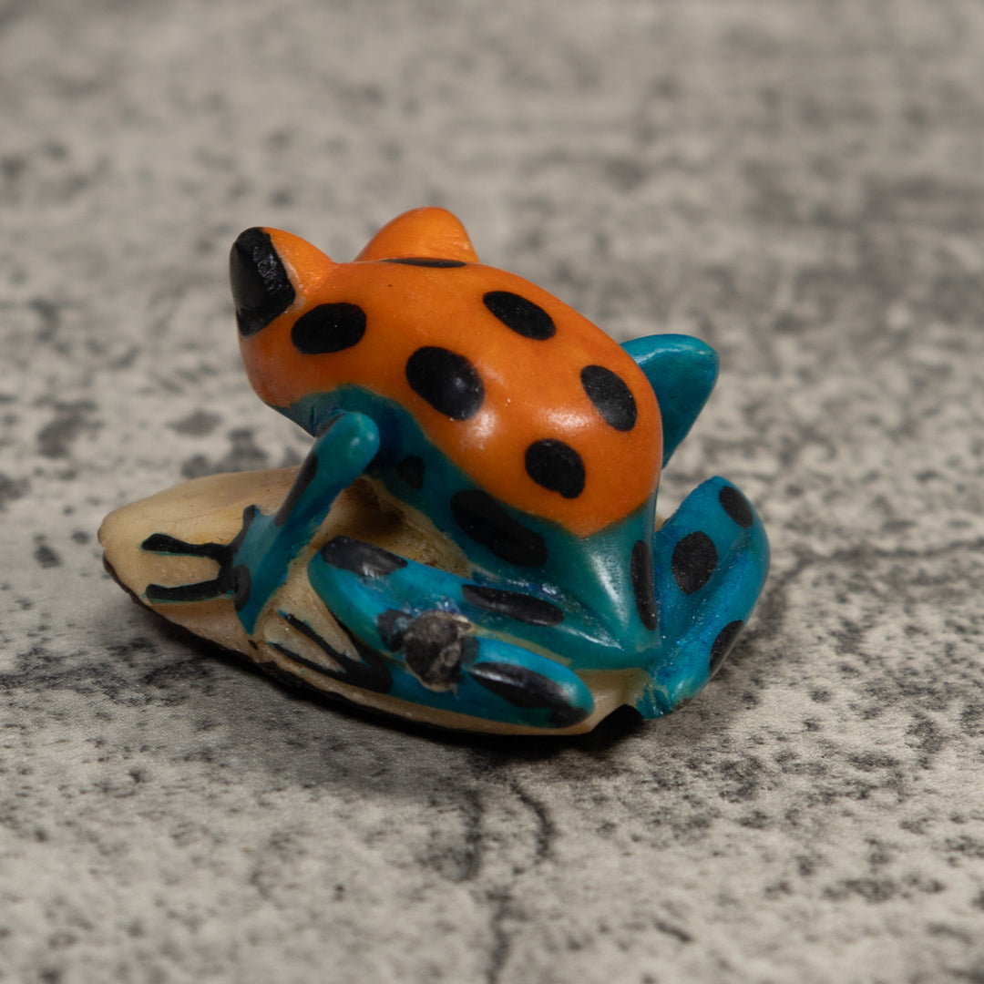 Blue And Gold Poison Dart Frog Tagua Carving