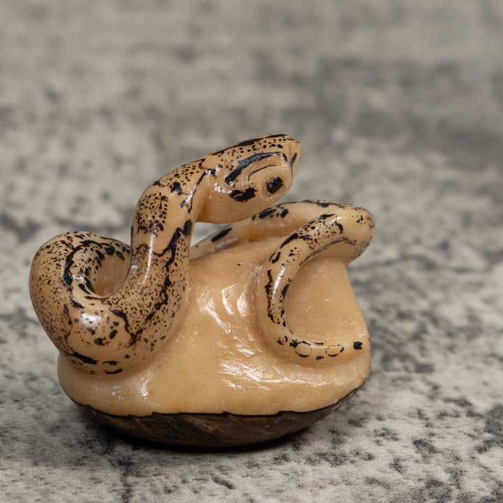 Black And White Snake Boa Tagua Carving