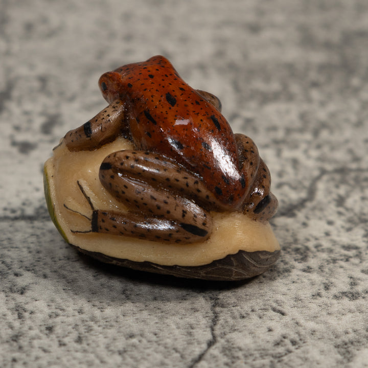 Brown And Black Poison Dart Frog Tagua Carving