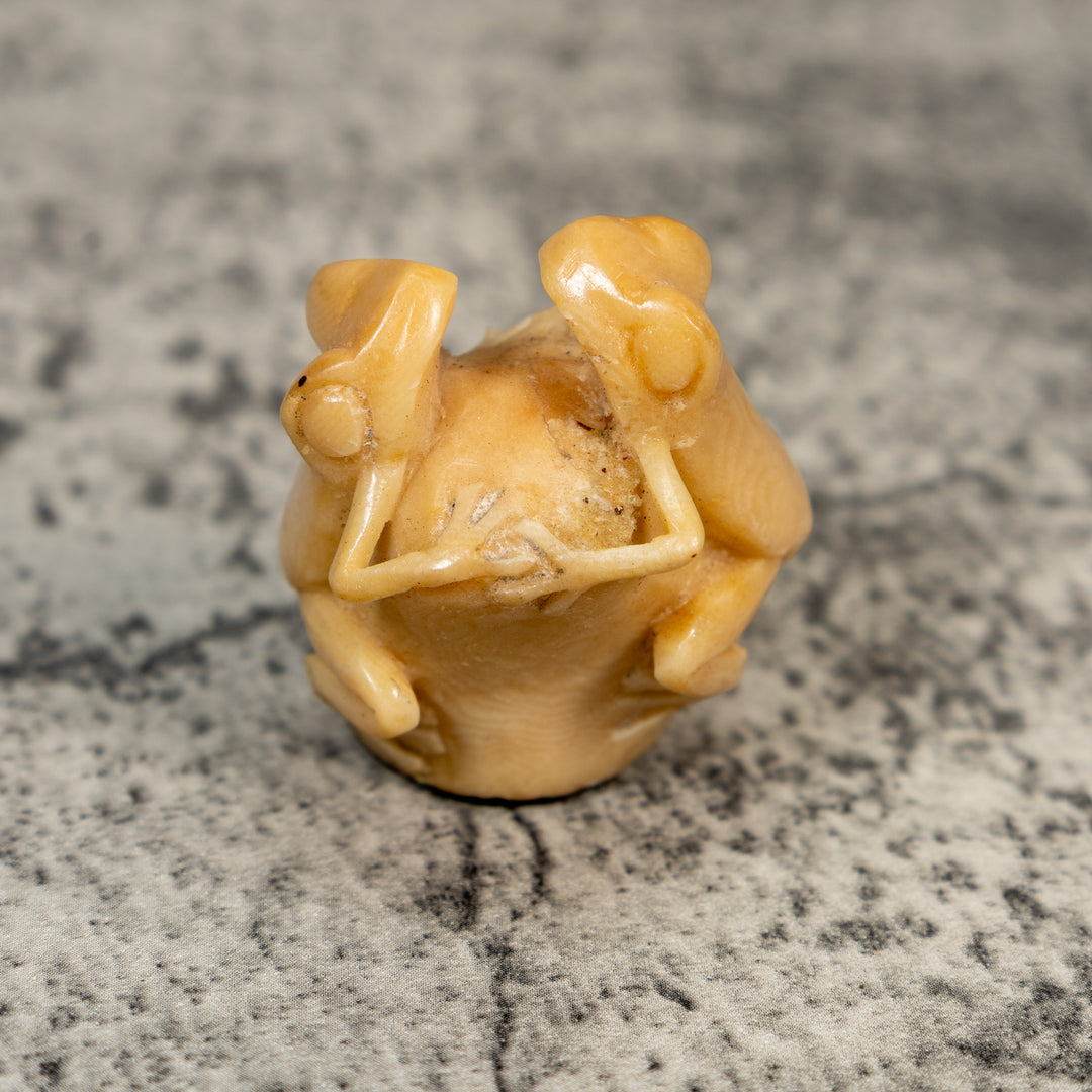 Vintage Natural White Dyed Double Frog Tagua Carving