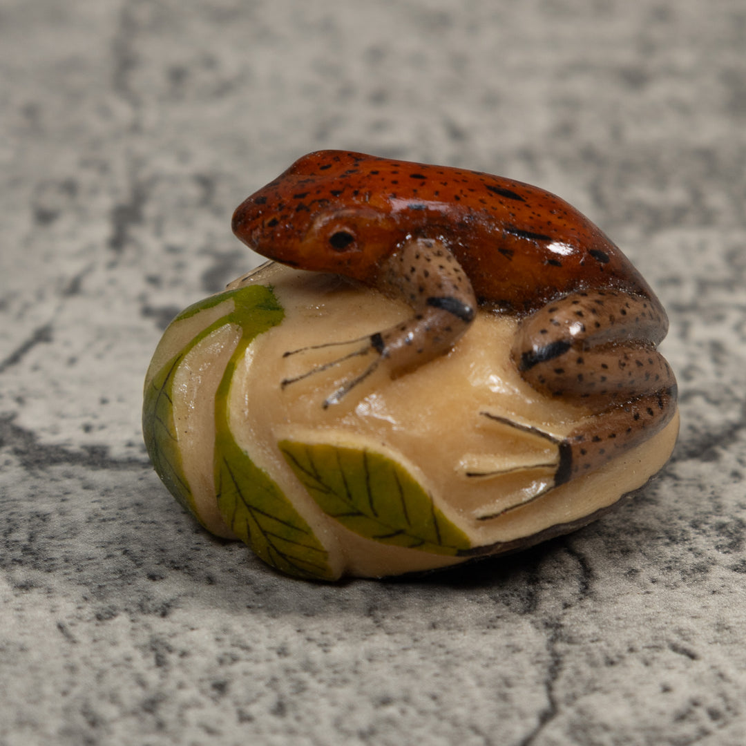 Brown And Black Poison Dart Frog Tagua Carving