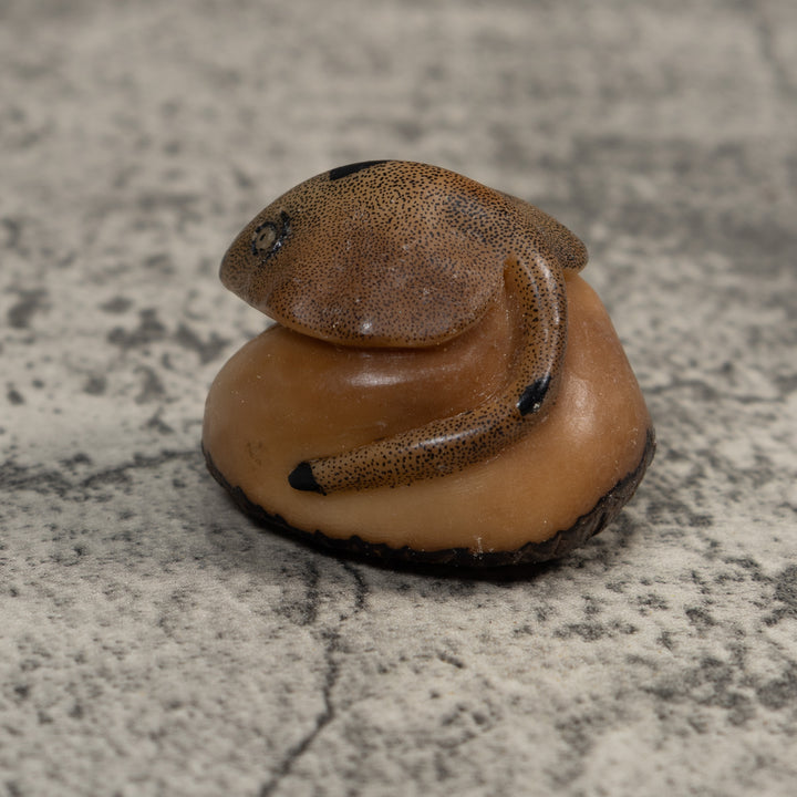 Vintage Ocean Stingray Tagua Carving