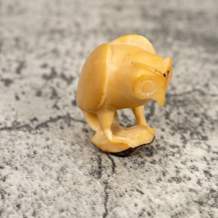 Natural White Owl Bird Tagua Carving