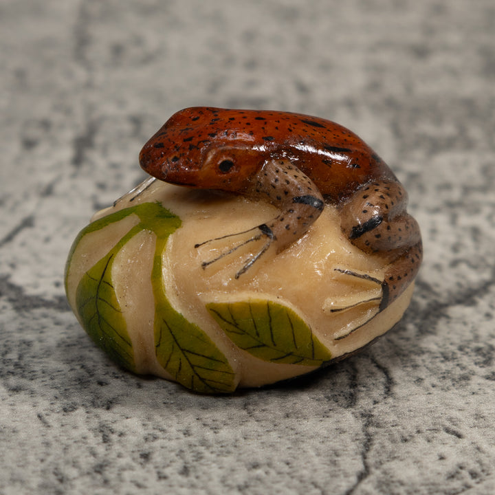 Brown And Black Poison Dart Frog Tagua Carving