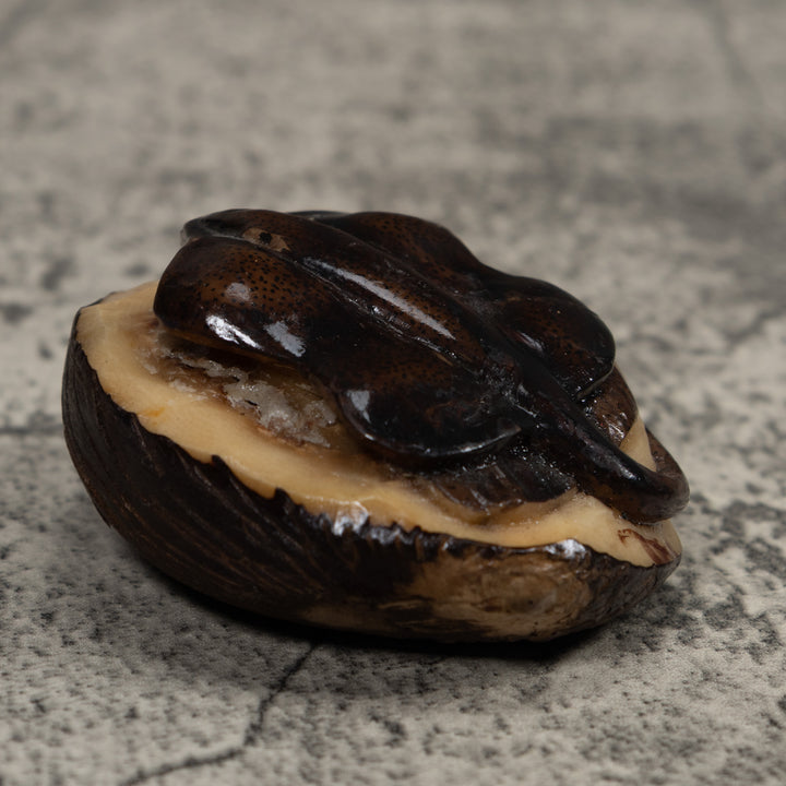 Vintage Stingray Tagua Carving