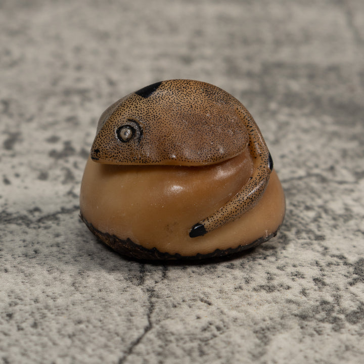 Vintage Ocean Stingray Tagua Carving