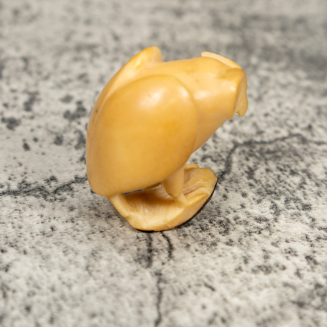 Natural White Owl Bird Tagua Carving