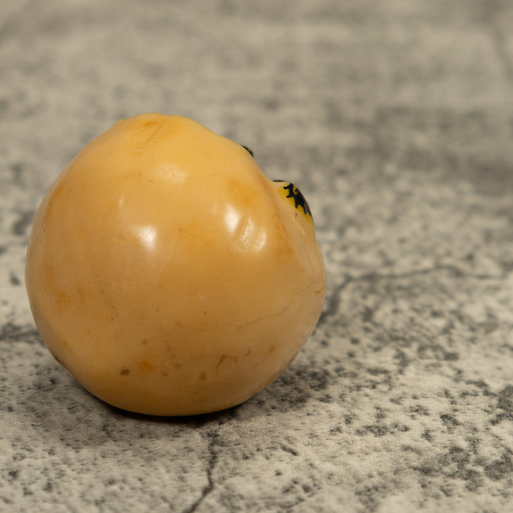 Turtle And Egg Tagua Carving