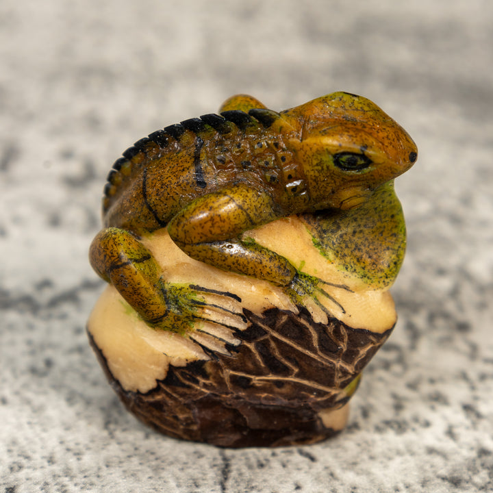 Brown And Black Iguana Lizard Tagua Carving
