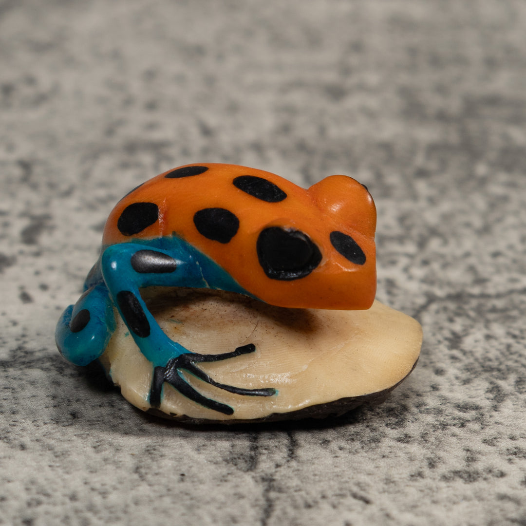 Blue And Gold Poison Dart Frog Tagua Carving