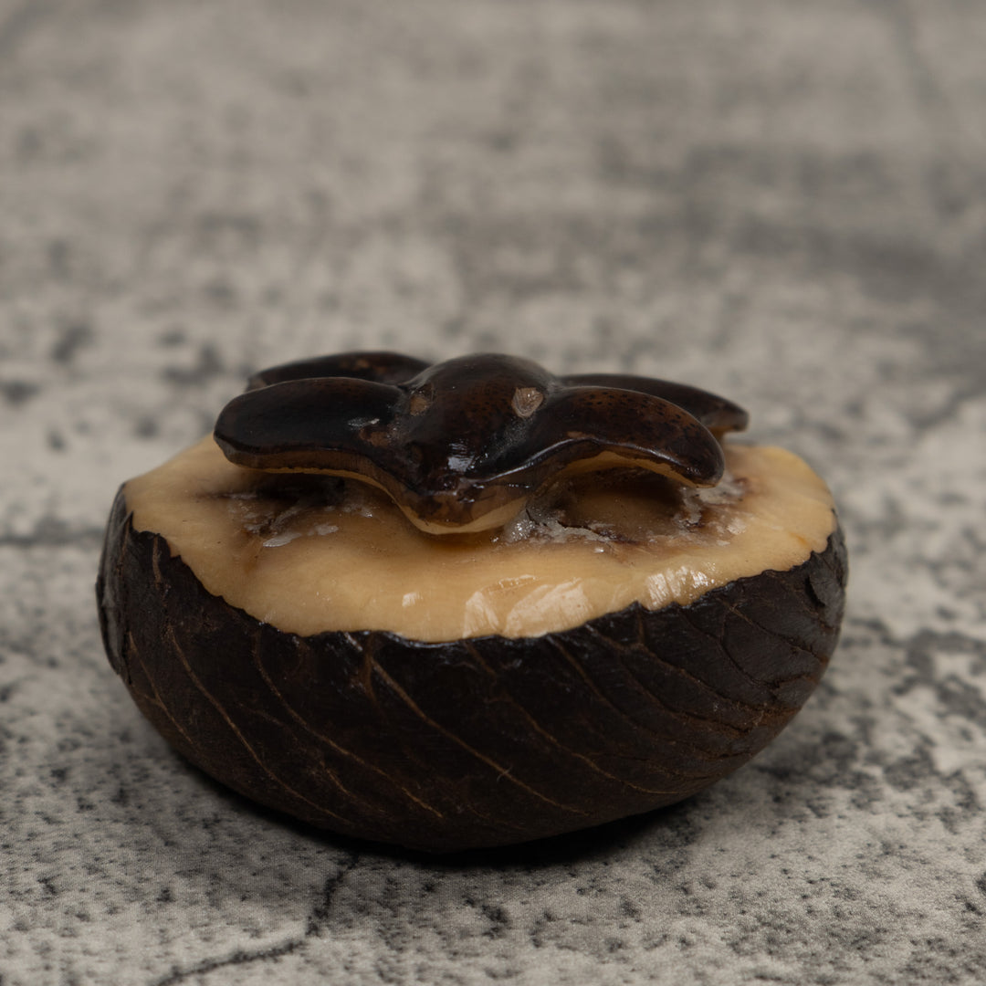 Vintage Stingray Tagua Carving
